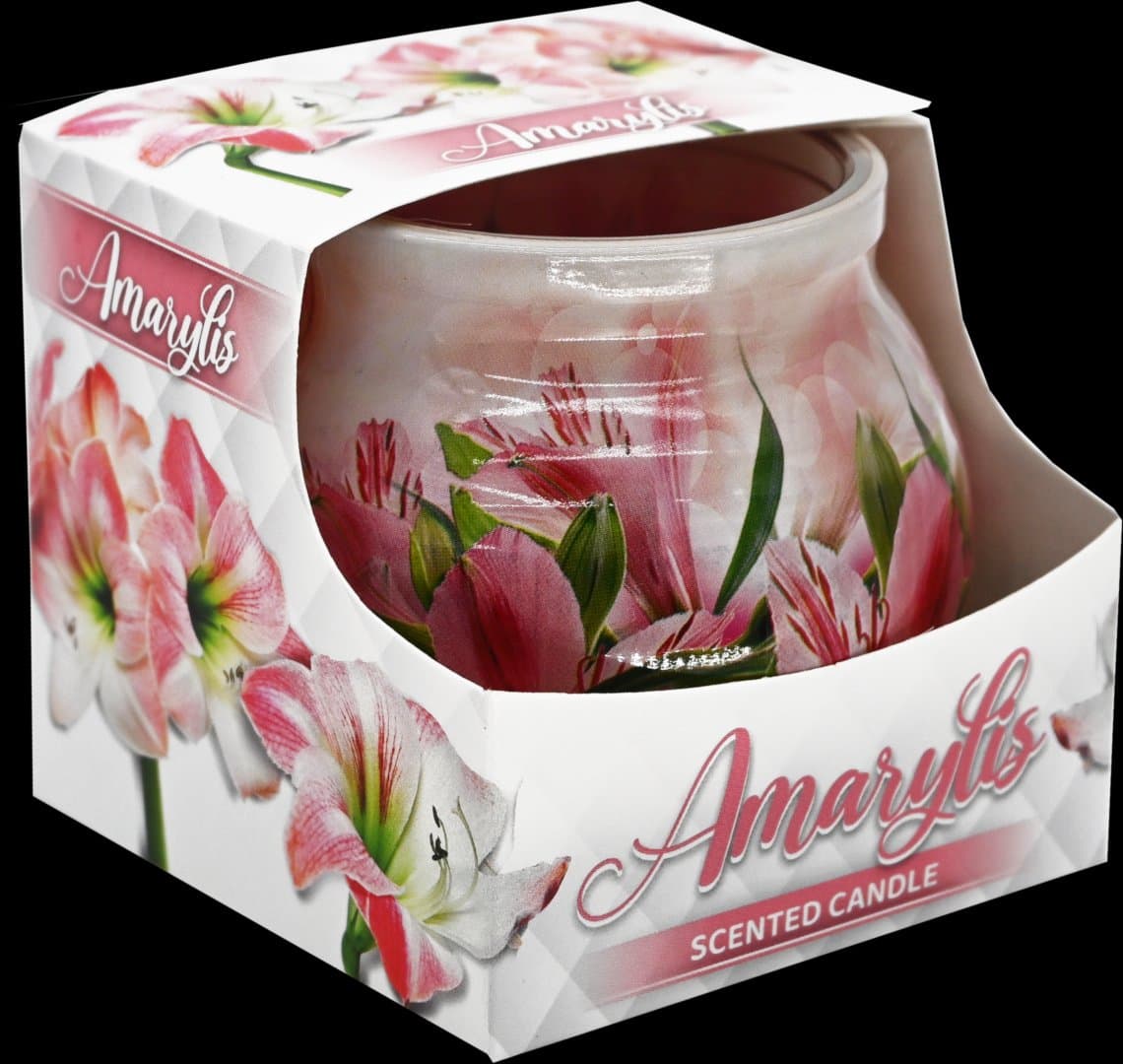 Świeca słoiczek Amarylis