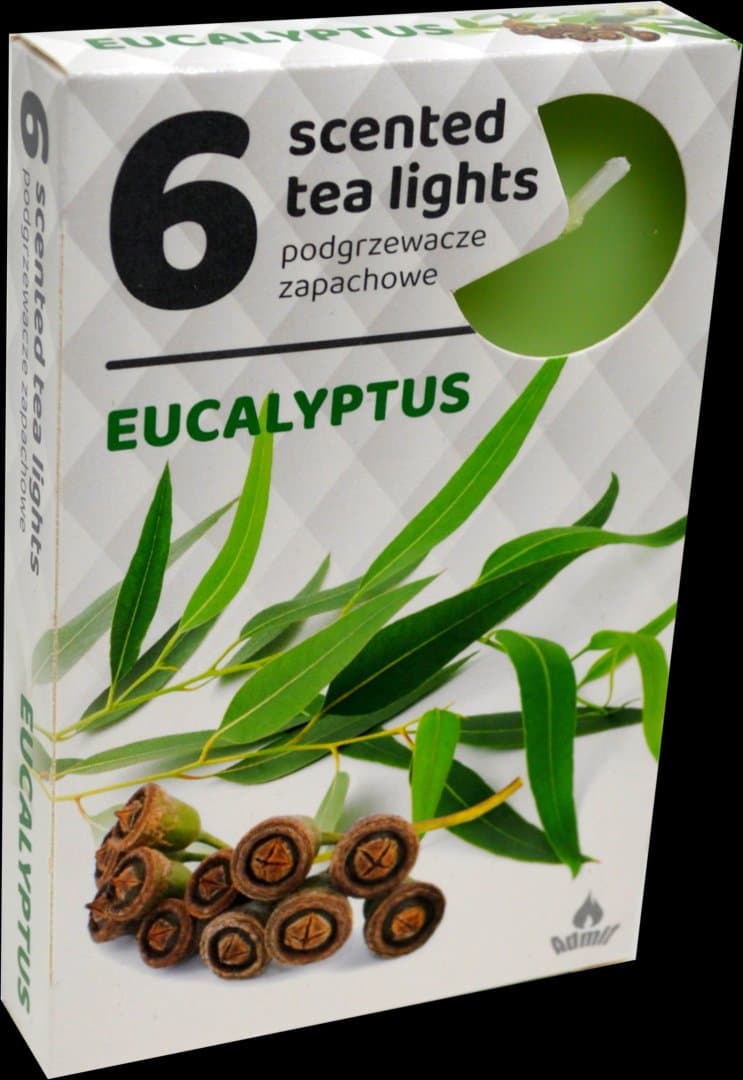 Podgrzewacz Zapachowy Eukaliptus