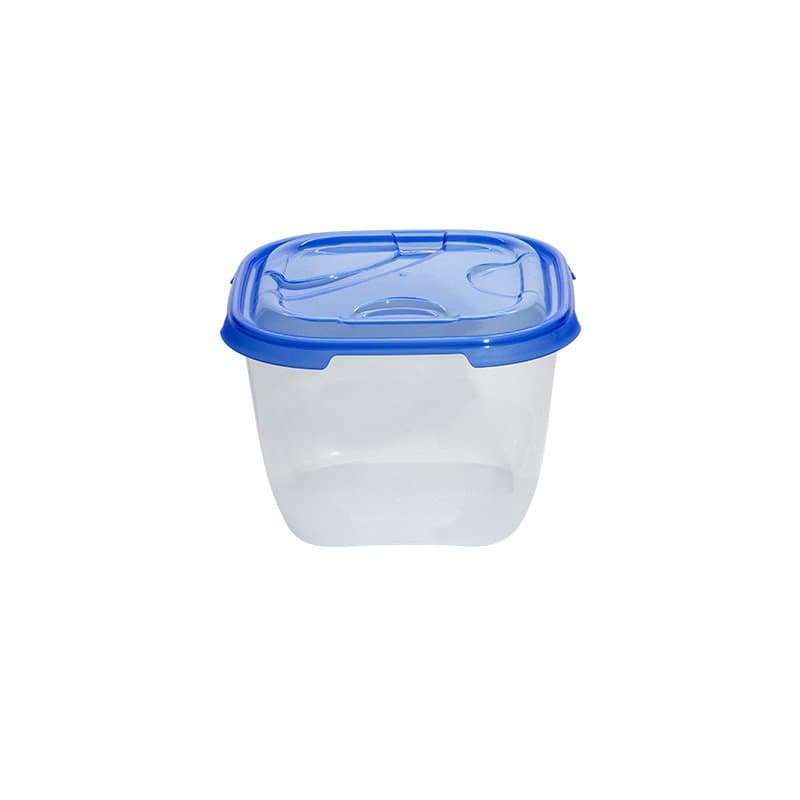 Pojemnik do przechowywania żywności Frigo 3L