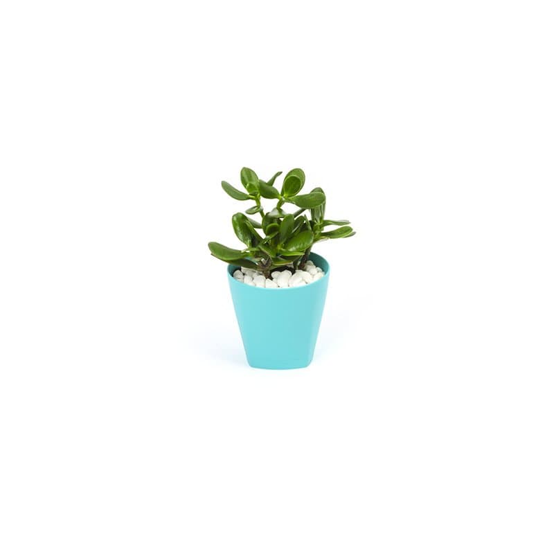 Doniczka Urban Fi 11/0.65L